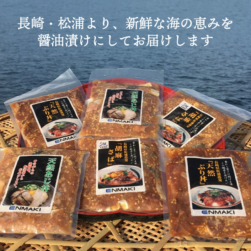 海の幸 海鮮醤油漬けセット【A9-027】 アジ サバ ブリ 海鮮丼 流水解凍 お手軽 時短