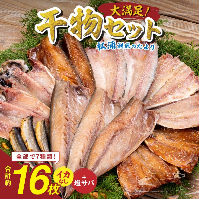 松浦・潮風のたより(イカなし＆サバ増量) ( 松浦市 サバ アジ カマス 干物 アジ開き 一夜干し 詰め合わせ )【B0-264】