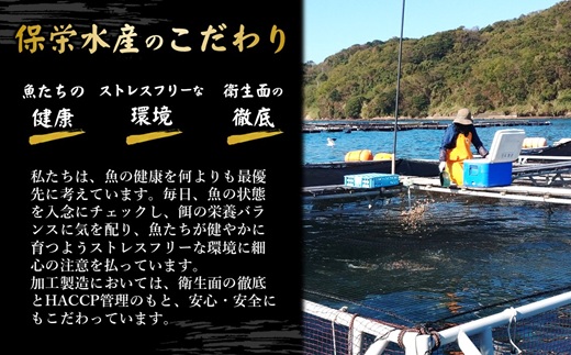 鷹島のうまかクエ鍋用(2〜3人前)( 鷹島産 クエ 絶品 鱗処理済み クエ鍋 高級魚 )【C9-001】