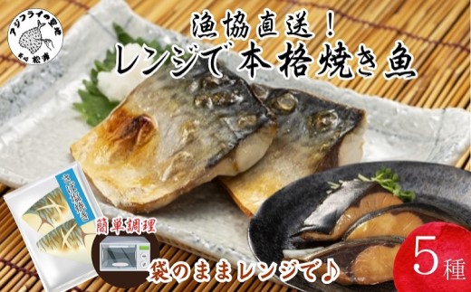 漁協直送！レンジで本格焼き魚5種セット( さば サバ ぶり ブリ 焼き魚 塩焼き みりん焼き 西京焼き 簡単調理 電子レンジ )【B3-077】