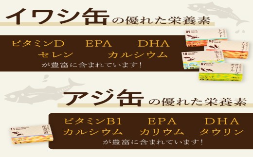 缶詰工場直送 「旬ほとぎ」イワシ缶＆アジ南蛮漬缶　5種類の味わい15缶( ふるさと納税 アジ缶 イワシ缶 缶詰 イワシ アジ 南蛮漬 いわし ご飯のお供 非常食 保存食 送料無料 )【B2-155】