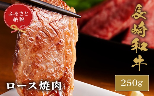 【和牛セレブ】長崎和牛焼肉ロース 250g ( 長崎和牛 和牛 焼肉 ロース )【B8-028】