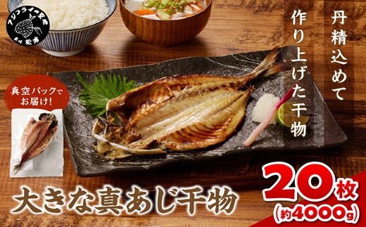 大きな真あじ干物 1枚200g×20(約4000g) ( アジ 特大真あじ 干物 小分け )【C9-015】