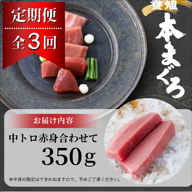 【全3回定期便】鷹島産本まぐろ 中トロと赤身合わせて350g( 定期便 海鮮 本まぐろ まぐろ 本マグロ マグロ 鮪 中トロ 赤身 松浦市 )【E2-005】