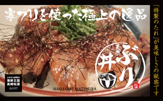 【A9-027】海の幸 海鮮醤油漬けセット アジ サバ ブリ 海鮮丼 流水解凍 お手軽 時短