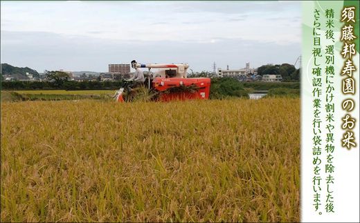 縲 莉、蜥7蟷エ 譁ー邀ウ 縲鷹郁陸驍ヲ蟇ソ蝨偵ョ逋ス邀ウ 螟「縺励★縺5kg( 邀ウ 繧ウ繝。 縺顔アウ 螟「縺励★縺 5kg 5繧ュ繝ュ 逕倥> 逕倥∩ 邊倥j邊セ邀ウ 蝗ス逕」 騾∵侭辟。譁 )縲殖5-128縲