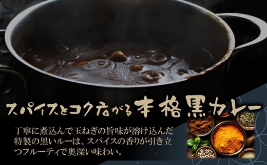 和牛がゴロッと黒カレー 200g×4P ( カレー 和牛 和牛カレー 冷凍 簡単 )【A8-043】