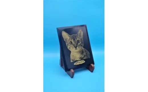 ãªãªãžãã«ãªãŒããŒåœ«å»ãé»ãããã¬ã©ã¹ãã©ãã¹ã¿ã³ã( åœ«å» é»ããã ã¬ã©ã¹ ãã©ãã¹ã¿ã³ã ã€ã³ããªã¢ èšå¿µå )ãD3-010ã