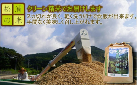 【A8-010】つづら水源の森を流れる水が育む松浦の米　「夢しずく」葛籠の神秘5kg 米 お米 白米 ゆめしずく 5キロ 送料無料