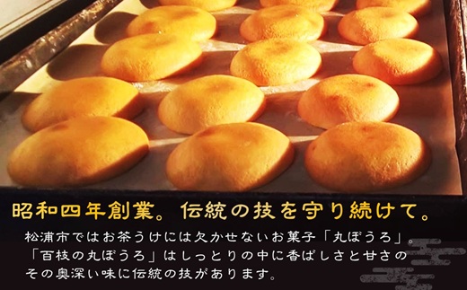 âäžžãŒããâãšèšãã°ãçŸæã®äžžãŒããããã£ã·ã24æ( ã«ã¹ãã© ãèå ãè¶ãã çŒãèå çŽ æŽ äŒçµ±ã®æ )ãB1-160ã