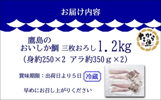 鷹島のおいしかタイ1.2kg( 鯛 お刺身 煮つけ 塩焼き 様々な料理 アラ付き )【B5-098】