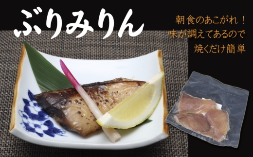 旬(とき)づくし【B5-077】 干物 魚 セット アジ イカ サバ ブリ 鯛 しめさば 詰め合わせ