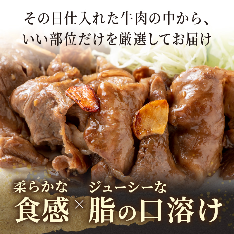 訳あり！【A4～A5】長崎和牛切り落とし500g【A7-058】牛肉 おすすめ 長崎和牛 バーベキュー 焼肉 切り落とし 冷凍 国産 送料無料 赤身