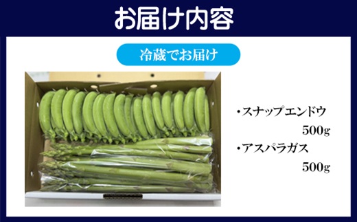 ★2026年春3月お届け★星鹿町産スナップエンドウとアスパラガス詰め合わせ1kg( スナップエンドウ スナップえんどう アスパラガス 新鮮 松浦市 )【A9-041】