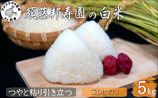 【 令和7年 新米 】須藤邦寿園の白米 コシヒカリ5kg( 米 コメ お米 コシヒカリ こしひかり 5kg 5キロ 甘い 甘み 粘り 精米 国産 送料無料 )【B6-051】