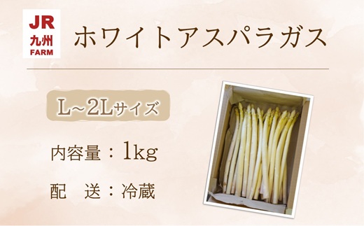 JR九州ファームのホワイトアスパラガス L～2Lサイズ 1kg ( アスパラガス ホワイトアスパラガス 国産 送料無料 長崎県 松浦市 )【B3-101】