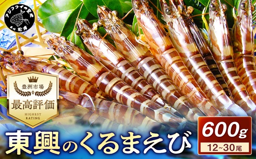 【先行予約】【宅配BOX不可】東興のくるまえび600g入【C2-023】 車海老 くるまえび 車えび 活きくるまえび 活き車えび えび エビ 養殖 刺身 塩焼き 天ぷら 常温 贈答用 松浦市 送料無料