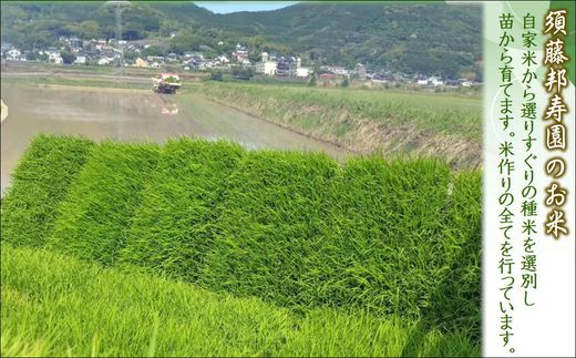 縲 莉、蜥7蟷エ 譁ー邀ウ 縲鷹郁陸驍ヲ蟇ソ蝨偵ョ逋ス邀ウ 螟「縺励★縺5kg( 邀ウ 繧ウ繝。 縺顔アウ 螟「縺励★縺 5kg 5繧ュ繝ュ 逕倥> 逕倥∩ 邊倥j邊セ邀ウ 蝗ス逕」 騾∵侭辟。譁 )縲殖5-128縲