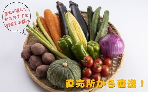 【A9-009】季節の野菜詰め合わせ 季節 野菜 旬 安心 新玉ねぎ トマト じゃがいも 白菜 キャベツ きゅうり