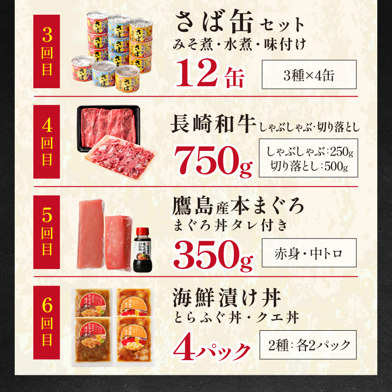 【全6回定期便】松浦堪能定期便 ( アジフライ まぐろ 肉 サバ缶 干物 みりん干し とらふぐ しゃぶしゃぶ すき焼き 海の幸定期便 美味しい 刺身 加工品 おかず )【H6-002】