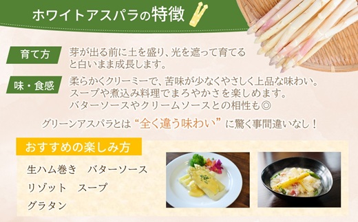 JR九州ファームのホワイトアスパラガス L～2Lサイズ 1kg ( アスパラガス ホワイトアスパラガス 国産 送料無料 長崎県 松浦市 )【B3-101】