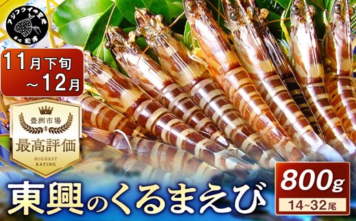 【宅配BOX不可】東興のくるまえび800g入【11月下旬〜12月発送】( くるまえび 東興のくるまえび 車海老 海老 エビ )【C8-017-12M】