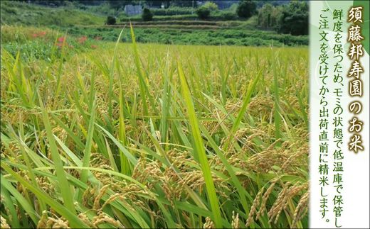 縲 莉、蜥7蟷エ 譁ー邀ウ 縲鷹郁陸驍ヲ蟇ソ蝨偵ョ逋ス邀ウ 螟「縺励★縺5kg( 邀ウ 繧ウ繝。 縺顔アウ 螟「縺励★縺 5kg 5繧ュ繝ュ 逕倥> 逕倥∩ 邊倥j邊セ邀ウ 蝗ス逕」 騾∵侭辟。譁 )縲殖5-128縲