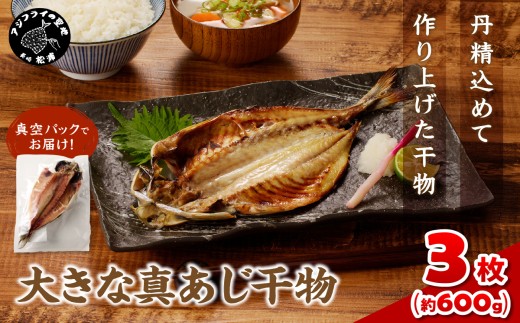 大きな真あじ干物　3枚(約600g) ( アジ 特大真あじ 干物 小分け )【A8-025】