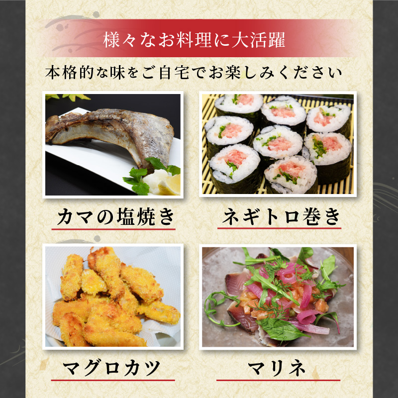 é·¹å³¶ç£æ¬ãŸããå®æäŸ¿ïŒ1æ¬åïŒ( æ¬ãã°ã 倧ãã äžãã 赀身 æµ å®æäŸ¿ æµ·é®® æ¬ãã°ã )ãT00-001ã