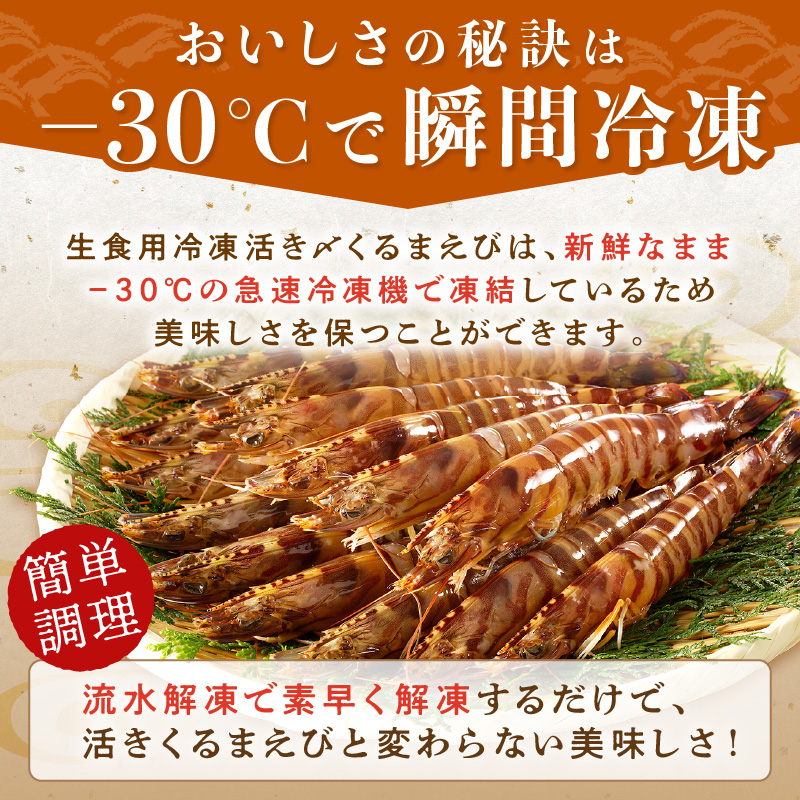 生食用冷凍活き〆福島くるまえび200g×2パック( 車海老 車エビ クルマエビ くるまえび えび エビ 海老 生食用 甲殻類 海産物 お刺身 冷凍 活き〆車えび おかず )【B2-165】