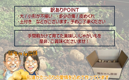 訳あり！農家直送のじゃがいも　お試し4kg【A6-020】 訳あり じゃが じゃがいも いも 肉じゃが サラダ フライドポテト 揚げ物 カレー シチュー 煮物 お試し