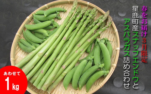 ★2026年春3月お届け★星鹿町産スナップエンドウとアスパラガス詰め合わせ1kg( スナップエンドウ スナップえんどう アスパラガス 新鮮 松浦市 )【A9-041】