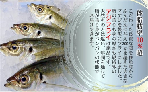 「アジフライの聖地　松浦」体脂肪率10%以上!養殖真あじのふっくらサクサク大判アジフライ開き【B3-050】 あじ アジ 鯵 聖地 アジフライ フライ 揚げ物 お弁当 おつまみ お惣菜 簡単