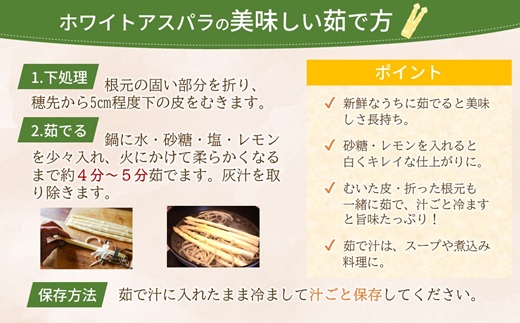JR九州ファームのホワイトアスパラガス L～2Lサイズ 1kg ( アスパラガス ホワイトアスパラガス 国産 送料無料 長崎県 松浦市 )【B3-101】