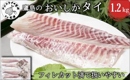 鷹島のおいしかタイ1.2kg( 鯛 お刺身 煮つけ 塩焼き 様々な料理 アラ付き )【B5-098】
