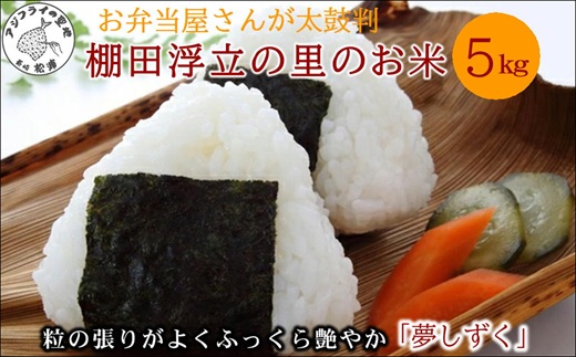 【 令和7年 新米 】お弁当屋さんが太鼓判！棚田浮立の里のお米5kg「夢しずく」( 米 お米 コメ 白米 夢しずく 精米 5kg 5キロ 棚田米 送料無料 )【B4-135】