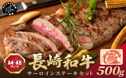 【A4〜A5】長崎和牛サーロインステーキセット 500g(250ｇ×2枚)( 肉 牛肉 牛 長崎和牛 国産牛 サーロイン ステーキ ステーキ肉 お取り寄せ プレゼント ギフト 送料無料 人気 美味しい 返礼品 おすすめ )【B6-047】