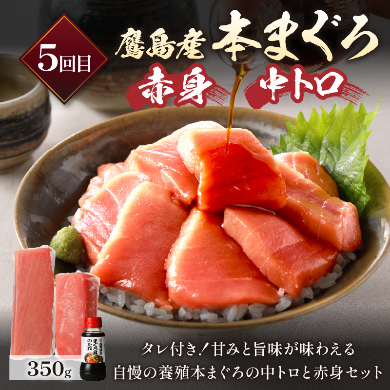 【全6回定期便】松浦堪能定期便 ( アジフライ まぐろ 肉 サバ缶 干物 みりん干し とらふぐ しゃぶしゃぶ すき焼き 海の幸定期便 美味しい 刺身 加工品 おかず )【H6-002】