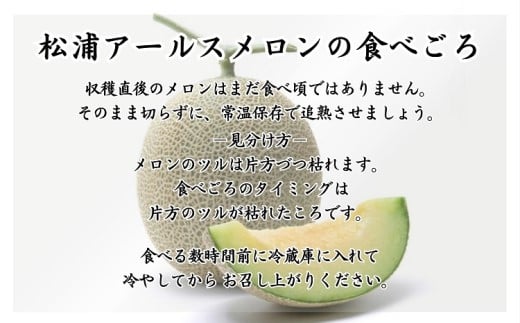 【C5-023】松浦アールスメロン(大容量)4玉 メロン アールスメロン 果実の王様 甘い 糖度14度以上 果物 フルーツ デザート