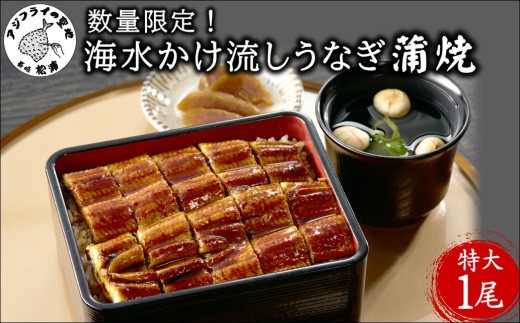 数量限定！海水かけ流しうなぎ蒲焼　特大サイズ1尾( ウナギ うなぎ 鰻 かば焼き 鰻の蒲焼 うなぎ蒲焼 長崎県産 青うなぎ 魚 魚介類 海産物 海の幸 )【B5-103】