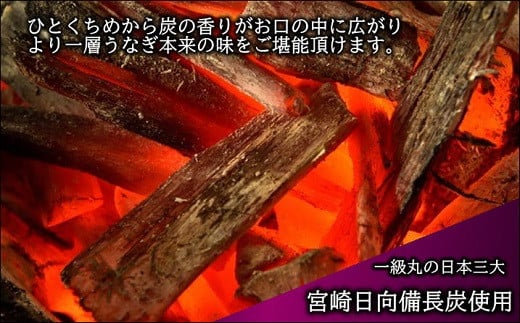 天保年間創業 祖川真兵衛総本家鶴屋 炭火焼 九州産うなぎ　蒲焼き2尾( 鰻 うなぎ 蒲焼 炭火焼 九州産 香ばしい ふっくら パリッと )【D1-002】