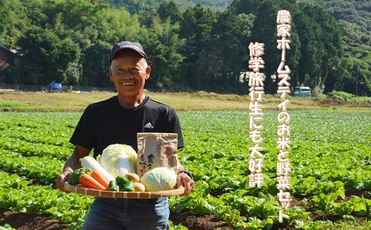 農漁村体験の聖地「松浦党の里」旬の野菜とお米(3kg)セット( 野菜 旬 お米 米 野菜詰め合わせ 旬の野菜 地元野菜 セット 松浦市 松浦産キャベツ 白菜 ブロッコリー ピーマン 白ネギ 人参 大根 ほうれん草 みかん じゃがいも さつまいも )【B1-114】