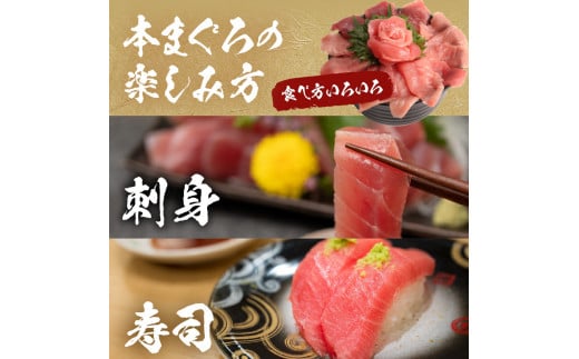 【訳あり】長崎県産本まぐろ贅沢盛り100g×3パック( まぐろ マグロ 鮪 本まぐろ 本マグロ 切り落とし 大トロ 中トロ 赤身 漬け まぐろ丼 手軽 簡単 パック 訳あり )【B2-124】