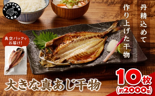 大きな真あじ干物　10枚(約2000g)【B5-074】 真あじ 無添加 個包装 干物 食べ応えあり