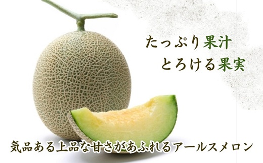 1.4?以上！大玉アールスメロン　夢メロン2玉入り( メロン 大玉 夢メロン アールスメロン )【B0-202】