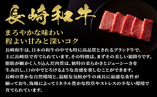 【和牛セレブ】長崎和牛焼肉ロース 200g ( 長崎和牛 和牛 焼肉 ロース )【B5-090】