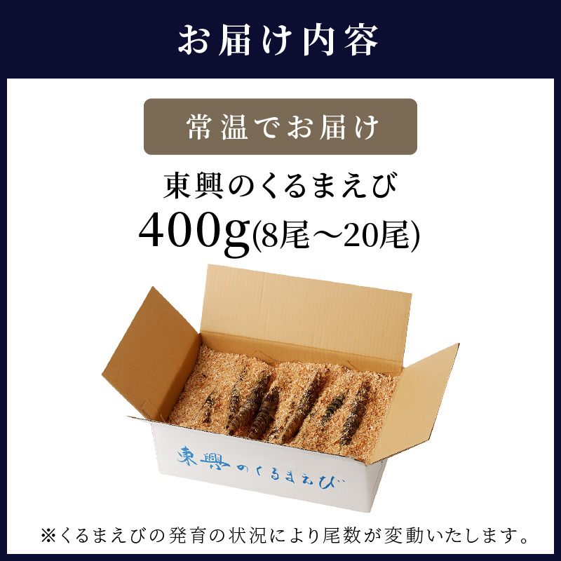 【先行予約】【宅配BOX不可】東興のくるまえび400g入【B6-029】車海老 くるまえび 車えび 活きくるまえび 活き車えび えび エビ 養殖 刺身 塩焼き 天ぷら 常温 贈答用 松浦市 送料無料