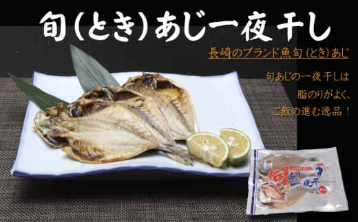 旬(とき)づくし【B5-077】 干物 魚 セット アジ イカ サバ ブリ 鯛 しめさば 詰め合わせ