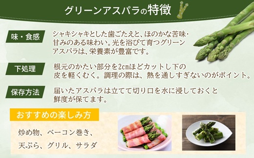 JR九州ファームのグリーンアスパラガス 3Lサイズ 1kg ( アスパラガス グリーンアスパラガス 国産 送料無料 長崎県 松浦市 )【B5-131】