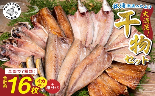 松浦・潮風のたより(イカなし＆サバ増量) ( 松浦市 サバ アジ カマス 干物 アジ開き 一夜干し 詰め合わせ )【B0-264】